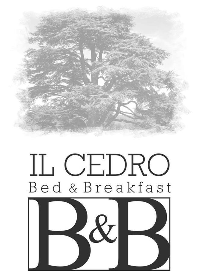 B&B Il Cedro Cava deʼ Tirreni Εξωτερικό φωτογραφία